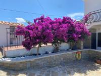 Casa Fortuna - con solarium panoramico a Castellabate - B&B Castellabate