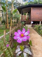 Fare Tamaruorai - B&B