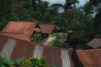 Finca Las Palmas Ecolodge - B&B