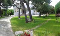 Villa Memia - Ferienwohnung Lendinuso