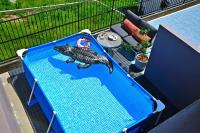 家族限定スイートルーム朝日が見えるテラス - Bed and Breakfast Yokinosato