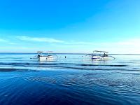 Dolphin Tour Private Villa Packet At Seririt - B&B