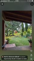 luxury villa in centre of tuscany - B&B Borgo alla Collina