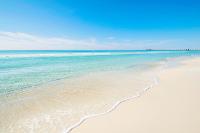Grand Panama 1-305 - Bed and Breakfast Panama City Beach