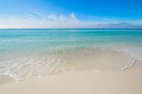 Majestic Beach Towers 1-1006 - Bed and Breakfast Panama City Beach