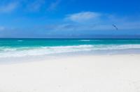 Emerald Beach 1033 - B&B Panama City Beach