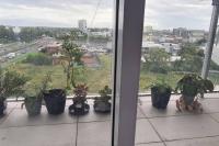 Spacious 3 bedroom, 2 washroom and 2 parking 5 min from train station - B&B
