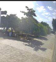 Bu Sultan farmhouse in RAK - B&B Ras Al Khaimah