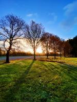 Zen huisje - B&B Turnhout