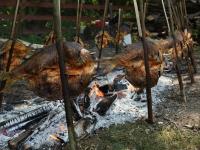 Apartments Vrata Baranje - B&B Bilje