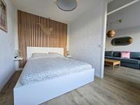 Apartment mit 1 Schlafzimmer
