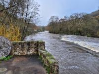 Le Cottage de Jousseaume - B&B Mortagne-sur-Sèvre