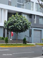 Dpto Valdizan en av Brasil - Chambres d’hôtes Lima