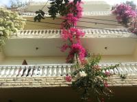 Royal Apartments Luxor - B&B Luxor