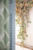 Ariadni - Bed and Breakfast Athene
