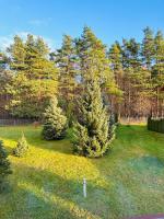 Apartament Orzechowy Raj - B&B Ustroń