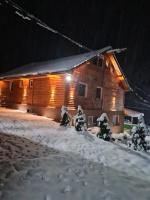 Šumska vila Gašić - Ferienwohnung