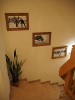 One-Bedroom Apartment - Non-Smoking