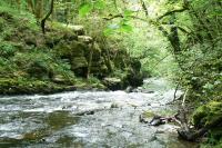 La Coudraie Villa des Familles - B&B La Bourboule