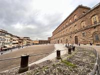 Luxurious View on Pitti Palace - Chambres d’hôtes Florence