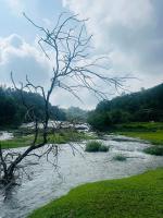 Golden Hills cottage munnar Mankulam Munnar - B&B Veriyappur