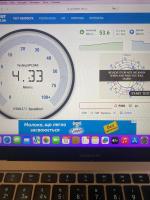 Apartamento Deluxe de 1 dormitorio con vistas al jardín 