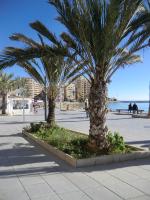 B&B Torrevieja - Casas Holiday - Playa del Cura 2 - Bed and Breakfast Torrevieja