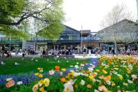 Elegant Studio Living Near City Centre - B&B Christchurch