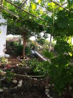 Maria's Home - B&B