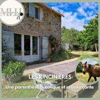 Les Rincinières - Bed and Breakfast