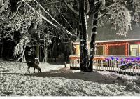 Ski, Unwind, Play Near Big Boulder, Game Room - Bed and Breakfast Blakeslee