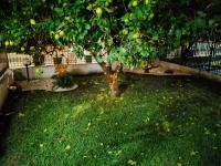 casaros - Bed and Breakfast