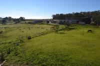 Agriturismo Sa Pigalva - Ferienwohnung Tula