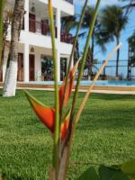 Casa Signore Ventoforte - B&B Caucaia