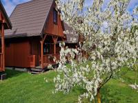 Holiday homes with shared pool, Kolczewo - B&B