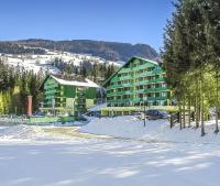 Alpine Apartment Schladming mit Sauna und Pool - B&B Schladming