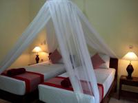 Deluxe Double or Twin Room with Garden View