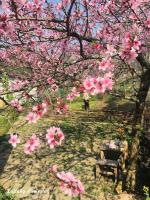 Kamer met Kingsize Bed en Uitzicht op de Tuin