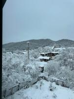 Bakuriani Cottages - B&B Bakuriani