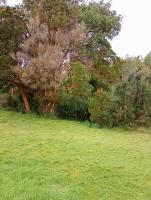 Hospedaje entre ríos Caipulli - B&B Ancud