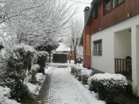 Apartamento con vistas al jardín