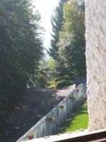 Panoramic Eagle - B&B