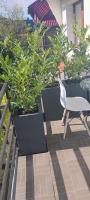 Doppelzimmer mit Balkon