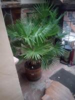 Ferienwohnung Zentral - B&B Erbach