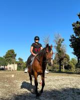 Appartamento Monolocale con Vista Mare