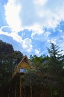 Cabaña Madre Selva - Bed and Breakfast