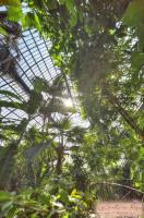 La Suite en Rose - Spa - Lyon Centre Brotteaux - Chambres d’hôtes Lyon