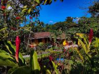 Finca Villa Laura - B&B Támesis