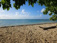 Les Jardins de Lakoulé - Villa ORCHIDEE -100m de la plage - Chambres d’hôtes Saint-François