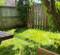 Two-Bedroom Apartment with Garden View